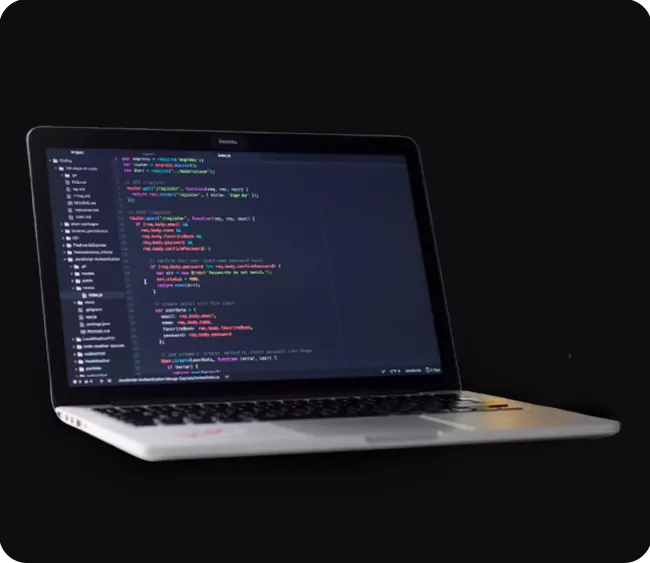 Website Development