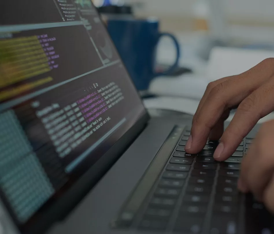 Web-site-development